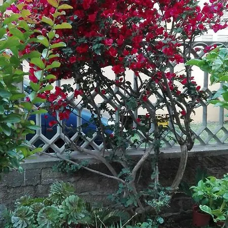 Melody לינה וארוחת בוקר 3*