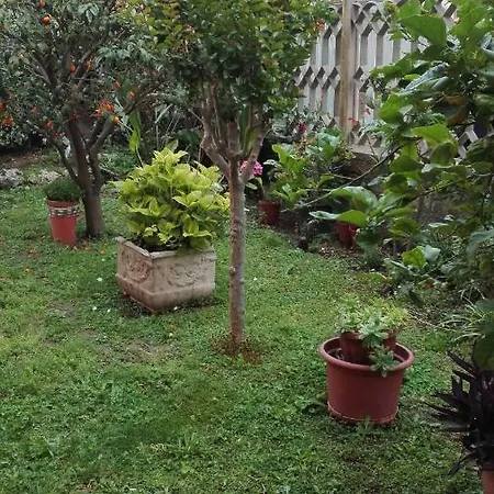 לינה וארוחת בוקר Melody 3*