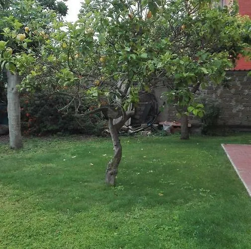 Melody 3* Фьюмичино