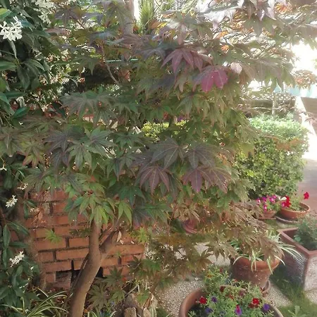 Melody Couette-café