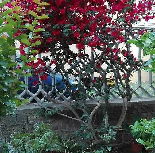 Melody Frühstückspension 3*